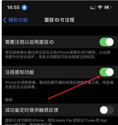 连平苹果14维修网点分享iPhone14注视感知功能有什么用 