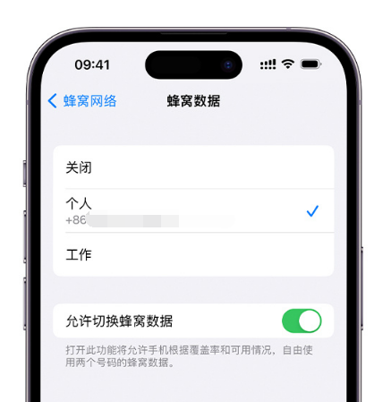 连平苹果维修服务分享如何在iPhone上使用双卡 